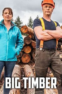 Big Timber (2020-2022) - TV Show
