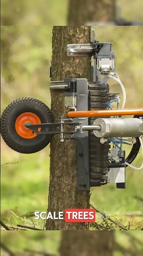 Advanced Automatic Tree Pruning Machine