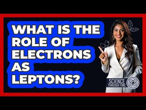 What Is The Role Of Electrons As Leptons?
