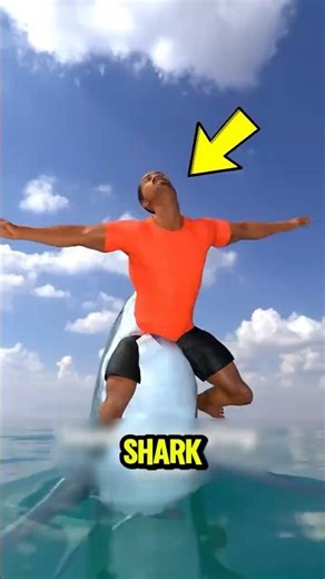 What Should You Actually Do If a Shark Attacks You?
