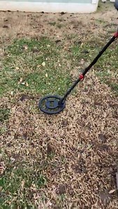 Watch metal detector for adults on Amazon Live