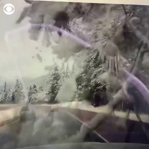 34K views · 255 reactions | CLOSE CALL: A falling tree grazed a vehicle along Interstate 5 near Wolf Creek, Oregon, with the driver narrowly escaping harm's way on Monday. Authorities said no injuries were reported, and removal of the tree caused traffic delays in the area. | CBS News | Facebook