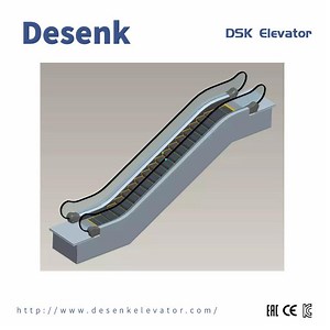 [Hot Item] 30 Angle Escalator Passenger Escalator and Quality Parallel Escalator for Shopping Mall Escalator