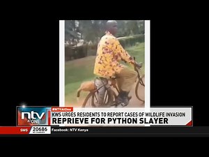 Govt pledges to compensate Siaya man who killed python that killed his dog