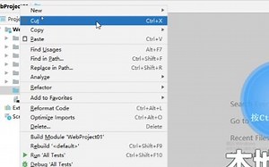 Day11_Spark和HBase的整合