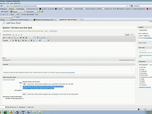 Using All in One SEO Pack for Wordpress - video Dailymotion
