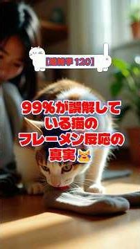 【猫雑学 120】99%が誤解してる猫の「フレーメン反応」の真実 #猫好きさんと繋がりたい #ねこすたぐらむ #猫のいる暮らし #猫の気持ち #猫の行動 #猫との生活 #猫との時間 #shorts