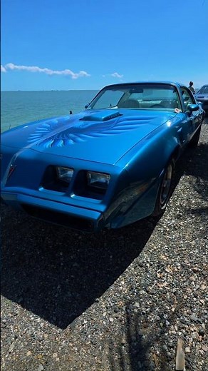 1979 Pontiac Trans Am Firebird with T-Tops #Pontiac #transam #firebird #carshow