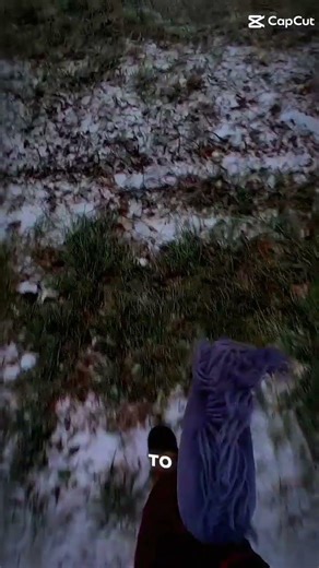 Finn loves the snow😁