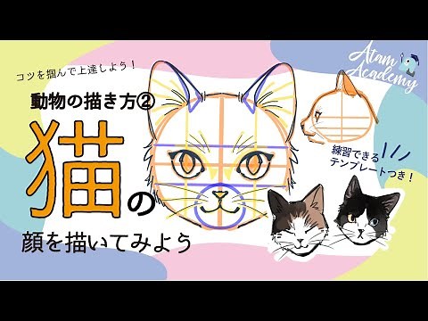 初心者も簡単！かわいい猫の顔の描き方