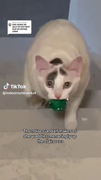 Gandalf the Cat's Menacing Stair Waddle Sound Effects