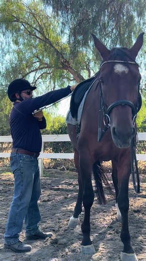 Adjusting Your Stirrup Length for Better Riding
