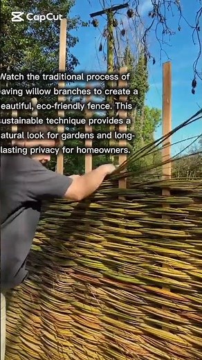 The Art of Weaving a Continuous Willow Fence