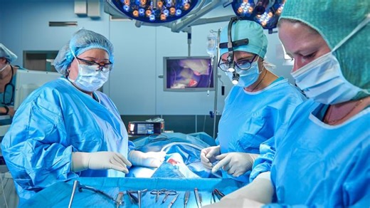 AMDS to Frozen Elephant Trunk Conversion: A Safe and Reproducible Redo Aortic Surgery Approach | Mazyar Kanani MA(Law) PhD FRCS