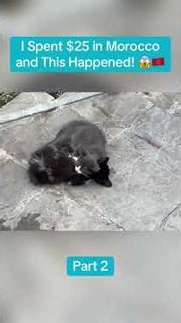 I Spent 25 in Morocco and This Happened! moroccOTravel... #Shorts #googlethecurious_fan_7