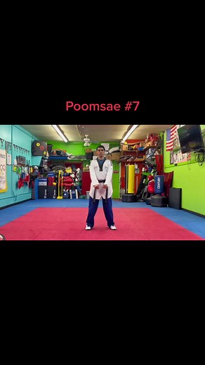 Red Belt Taekwondo Form Explained Step by Step