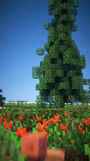 Sniff 🍀 on Instagram: "The nautilus is really important to me #minecraft #snifferish #minecraftlive"