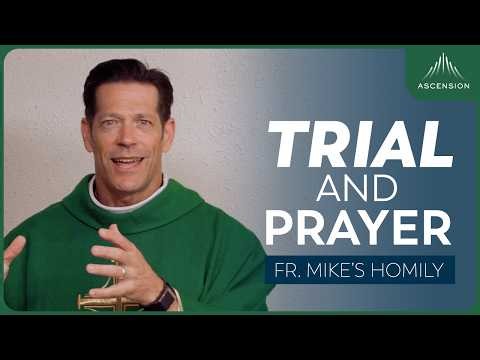 "We Do Not Know How" | 16th Sunday in Ordinary Time (Fr. Mike's Homily) #sundayhomily