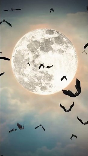 Rats HUNTING Bats? A Shocking Urban Wildlife War Caught on Camera 🦇🐀