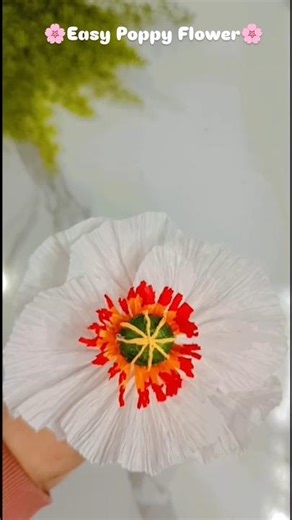 DIY Crepe Paper Poppy Flower | Easy Handmade Flower Craft #shorts #diy
