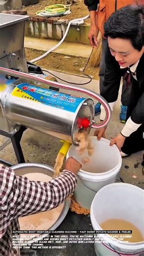 Automatic Root Vegetable Cleaning Machine – Fast Sweet Potato Washer & Peeler.