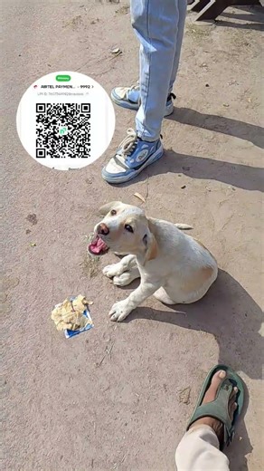 😊😔🙂‍↔️😔