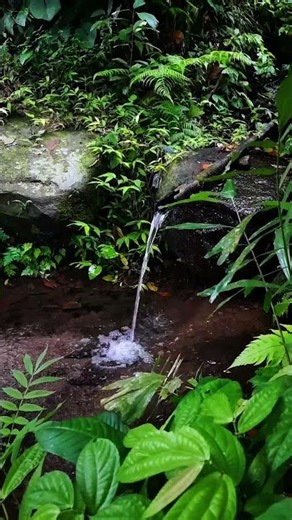 Bamboo Waterfall ASMR • Natural Water Sounds in Green Forest for Deep Relaxation
