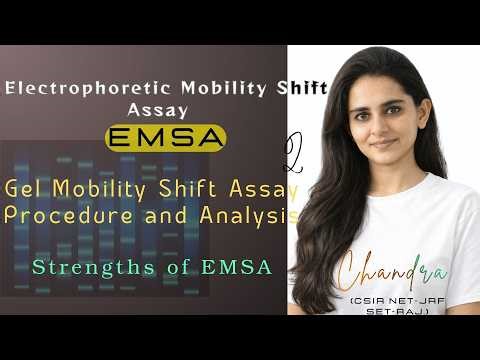 Part 2 –Gel Mobility Shift Assay Procedure and Analysis | EMSA | Protein–DNA Interaction