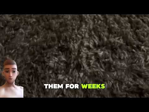 Joe Sweeney's message to Paddy Jaws Ward