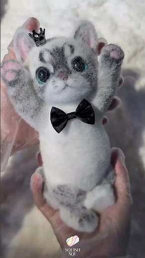 Cute Tiger Cat Meowing Compilation