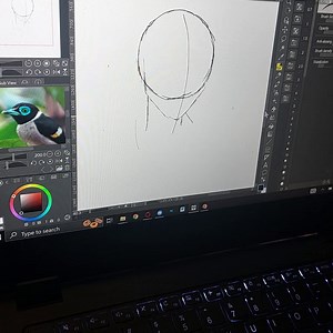 Pen Cursor Offset Problem