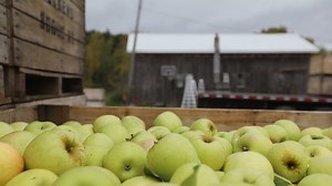 Why it matters: Five ways a new bill of rights for farm workers will impact New Yorkers