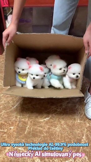 1K views · 60 reactions | 烙 Roztomilé až po uši! Robotický plyšový...