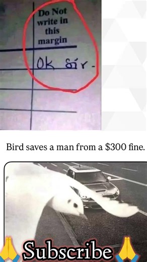 Memes#funny #writer #memes #popular #motivation #comedy