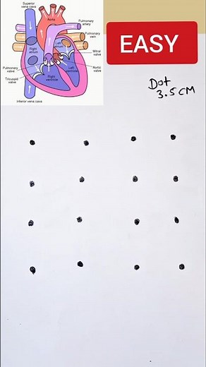 Human heart diagram drawing class 10 Science CBSE #class10 #cbse