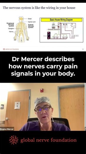 Dr. Mercer - Clip from Upper Extremity Pain Webinar