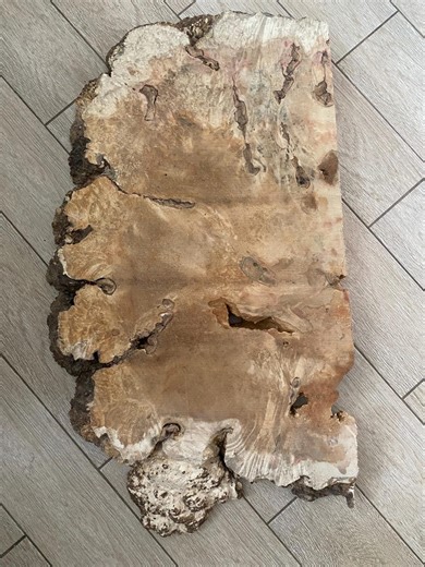 Large Dried Maple Burl Slab: Live Edge Wood for Resin Art - Etsy