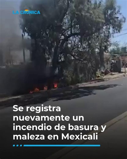 #Mexicali | Un incendio se registró esta mañana en Mexicali, provocado por la quema de basura y maleza sobre la Avenida Quintana Roo y Océano Atlántico; bomberos acudieron pronto al lugar para sofocarlo, por lo que no escaló de dicha zona. Cabe mencionar que, han sido más de 600 incendios registrados por basura en predios, drenes y canales en mal estado, que se atienden cada mes, tanto en la ciudad como en el Valle, llegando incluso a alcanzar hasta 800 siniestros de este tipo. El 75% de los inc