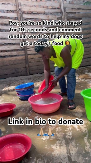 Please be kind for no reason and donate towards buying dogs food at the shelter🙏🏼🙏🏼