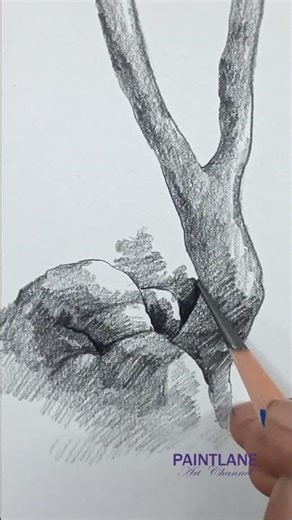 Pencil Shading Rocks and Tree in Nature Pencil Art #shorts #art #pencilshading