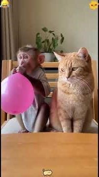 #illustration #tattoo #art #pov #procreate #drawing #whydidntmyexcomeback#digitalart