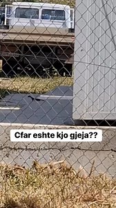 Kush me thot se cfar eshte kjo? | QESH