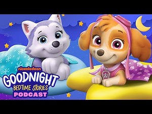 PAW Patrol Soars Into Dreamland Podcast! 😴 Goodnight Bedtime Stories #1 | Nick Jr. Music