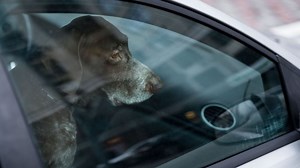 Why all cops should carry a lock-out kit