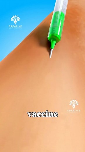 13K views · 276 reactions | How Vaccines Really Protect You Inside Your Body #vaccineexplained #humanbodyfacts #sciencevideo #3danimation #immunesystem #antibodies #bodyfacts #medicalvideo #creativelearning3d #healthfacts #biologyfacts #viralreels #educontent #vaccinefacts #immunityboost | Arifkhan3ds | Facebook
