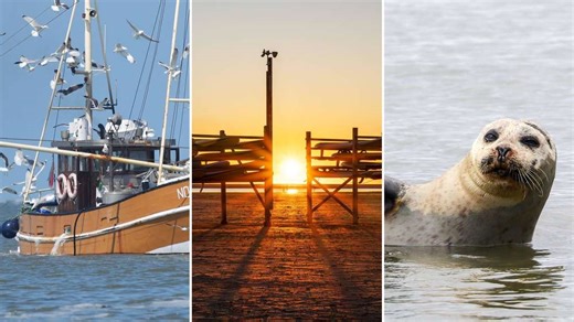 Radfahren und Wandern auf der Luxusinsel: So schick ist die Nordsee