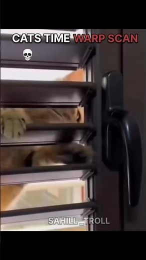 Cats time warp scan..💀🗿#cat #trollfaceedit