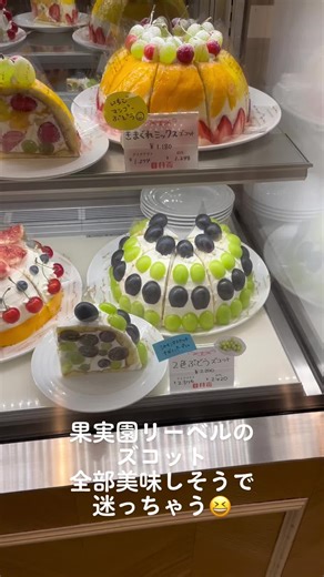 果実園リーベルのズコット たくさん種類ありすぎて迷っちゃう〜 #ズコット #果実園リーベル #ケーキ #スイーツ #フルーツ #cake #japan #japanesestyle #sweets #dessert