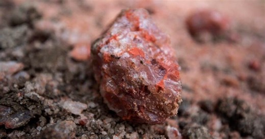 Trump's tariffs onto Canadian potash it will result in prices being pass on to the farmers: Simpson