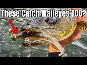 These Top 3 BASS Plastics Might Also Be the BEST Walleye Lures Ever!
